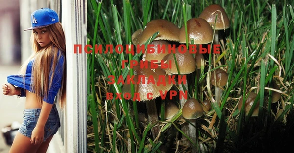 стафф Абаза
