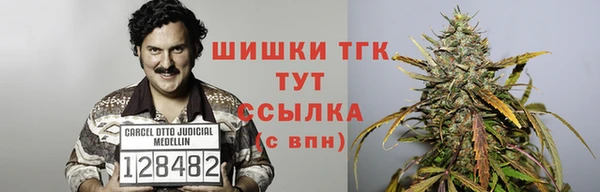таблы Инта