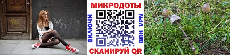 где купить наркоту  это наркотические препараты  Псилоцибиновые грибы ЛСД  Щёлково 